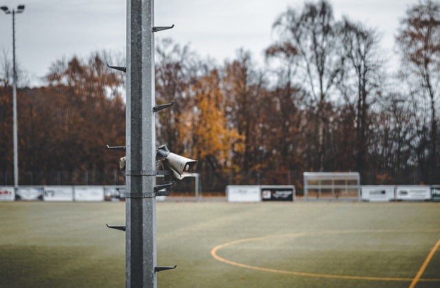 2025年混团世界杯上遭遇巨大嘘声的张本智和并不在意，并誓言复仇